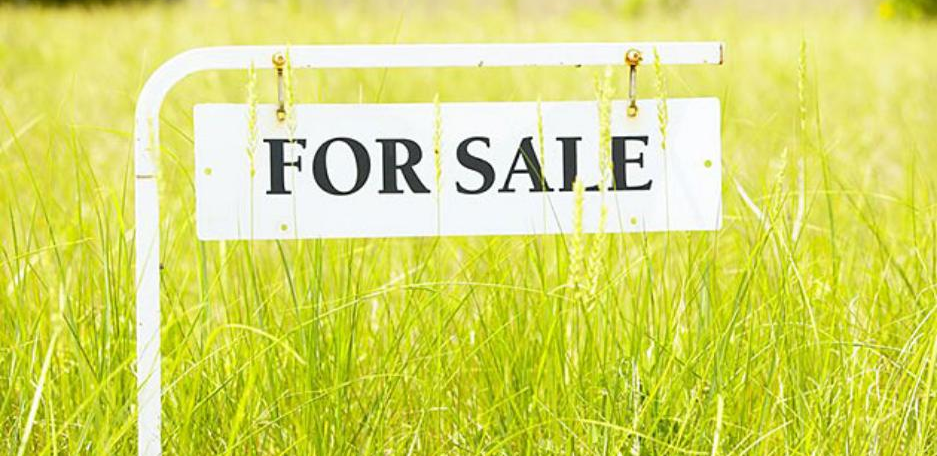 investing in land vs plot comparison