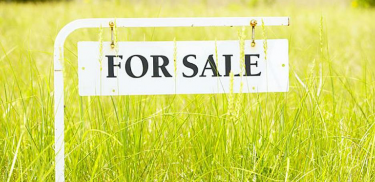 investing in land vs plot comparison